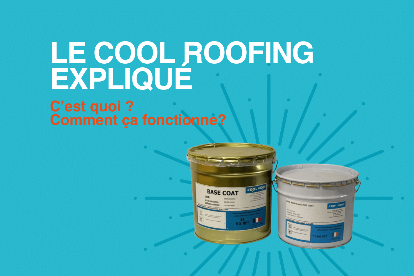 Excusez-moi, vous avez dit Cool Roof ?