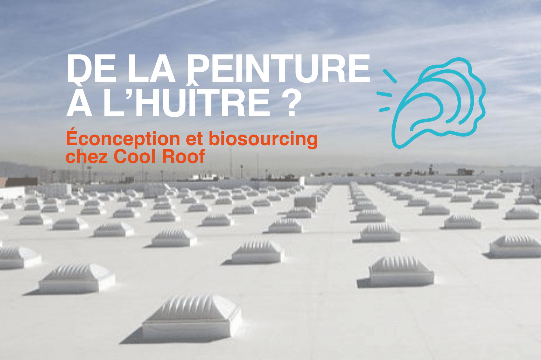 Écoconception et biosourcing, les huîtres ont plus d’une vie chez Cool Roof !