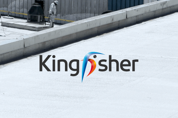 Cool Roof au Castorama de Chalon-sur-Saône (71) pour Kingfisher